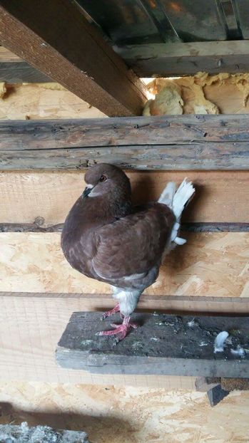 received_1047266102059052