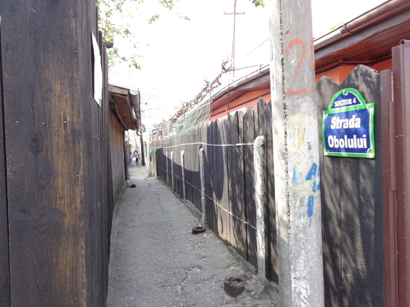 strada Martisor primavara