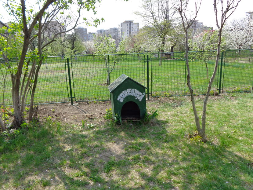 cotetul lui Zdreanta cel cu ochii de faianta