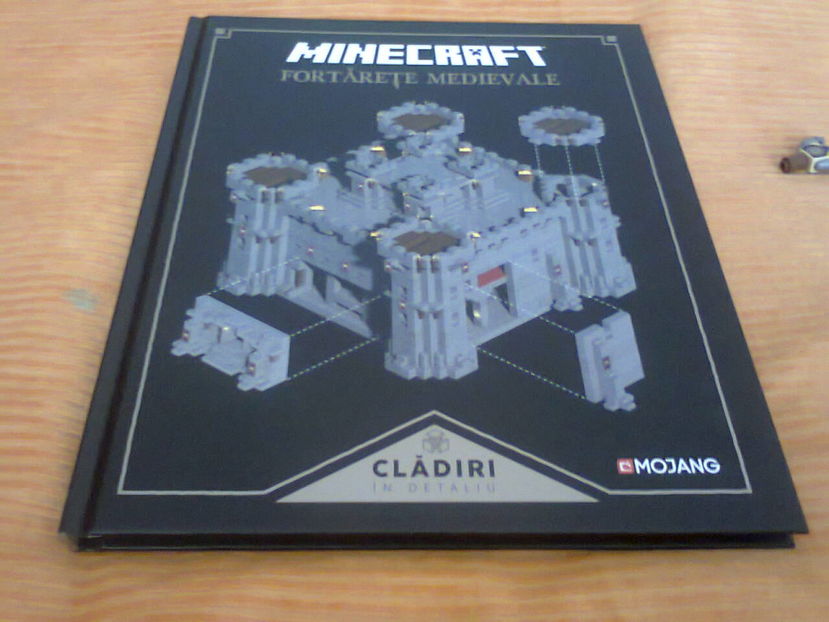 Fotografie2029 - Copie