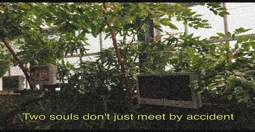 ∟Complicated got T̷H̷I̷S̷ ̷q̷u̷o̷t̷e̷