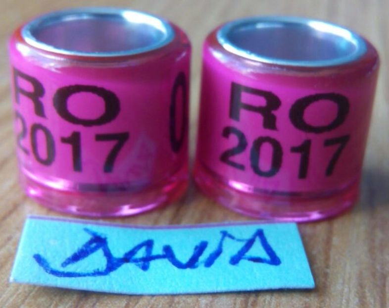 2017-roz 8mm...-xxx