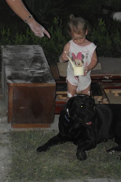 2015,Maia  ,stapana mica ,vrea o Clara alba2 - 1 labrador retriever Povestea Clarei si a lui Bubu