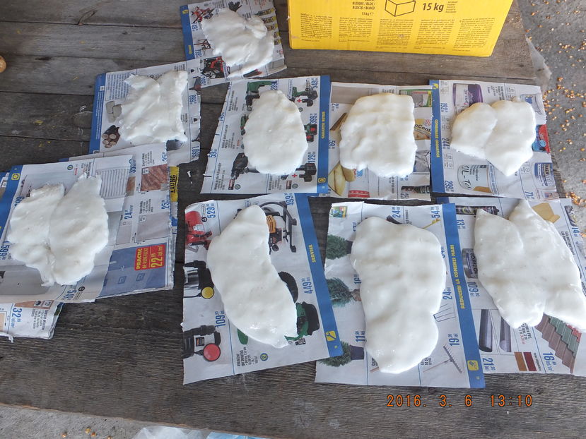 DSCF 3845; Talent de adev%u0103rat pizzer. :D
