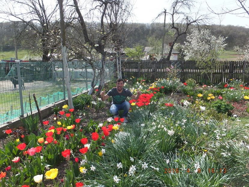 DSCF 4025; Pu%u0163in%u0103 culoare nu strica.
