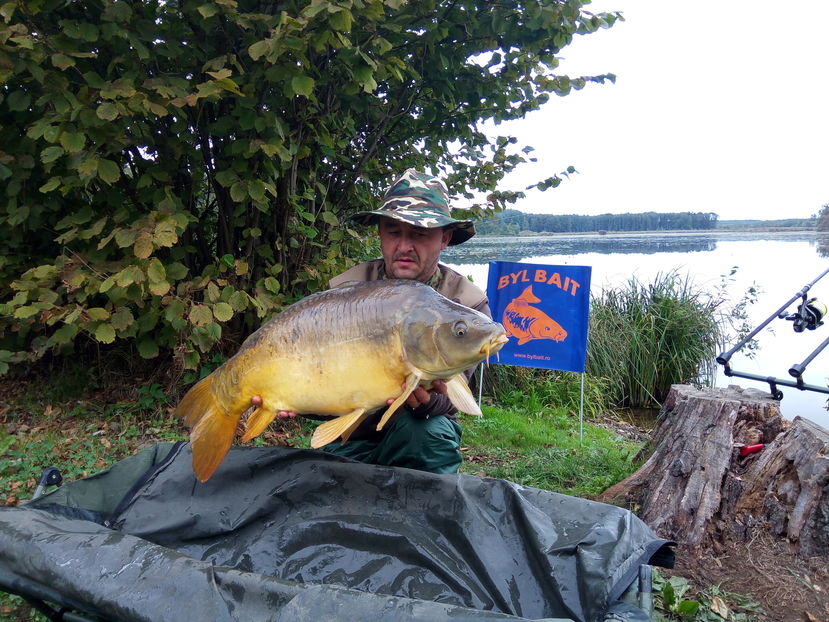 Haromfa octombrie 2016