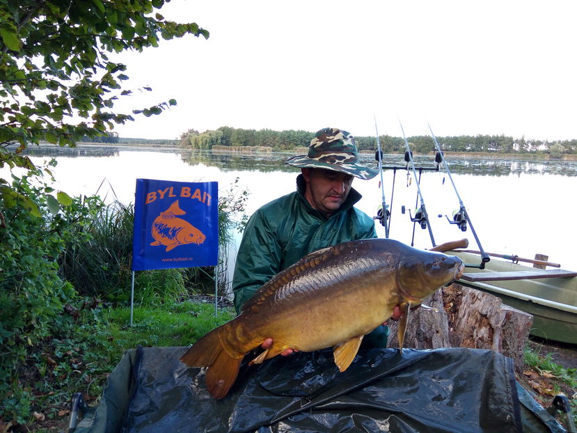 Haromfa octombrie 2016