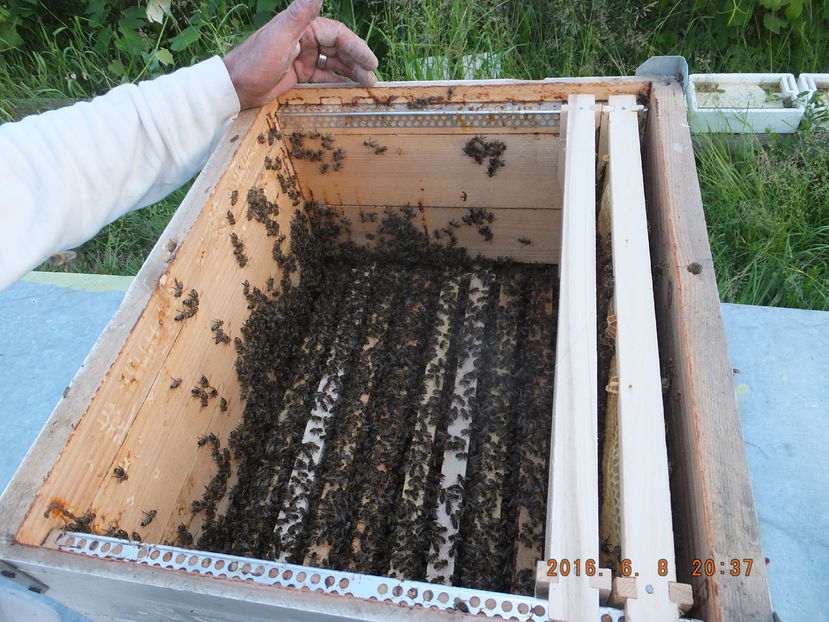 DSCF 4327; Vrem s%u0103 munciim!!!!...sau s%u0103 fugim?!
