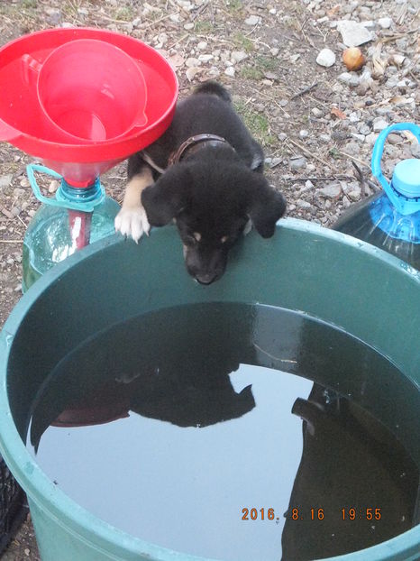 DSCF 4752; Heiii, cine indrazneste a m%u0103 privi !?
