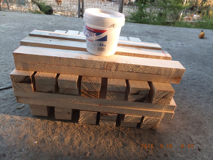 DSCF 4937; Juc%u0103rii pentru copii
