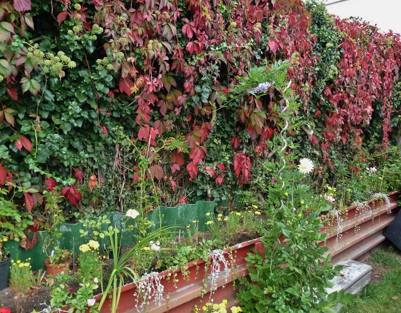 P2030168 - 2016 - 03 - Toamna