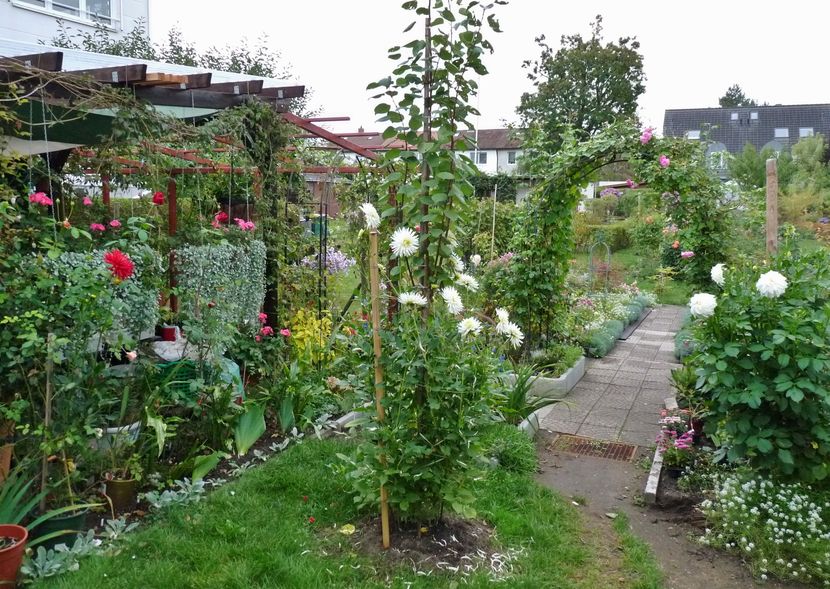 P2030179 - 2016 - 03 - Toamna