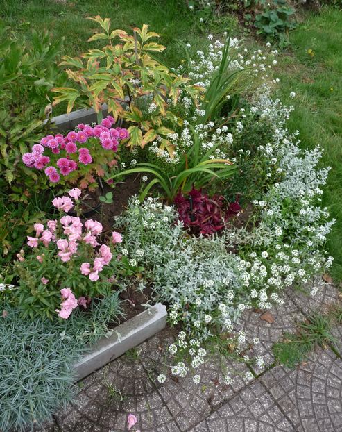 P2030241 - 2016 - 03 - Toamna