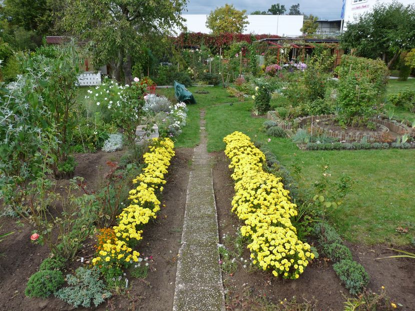 P2030345 - 2016 - 03 - Toamna