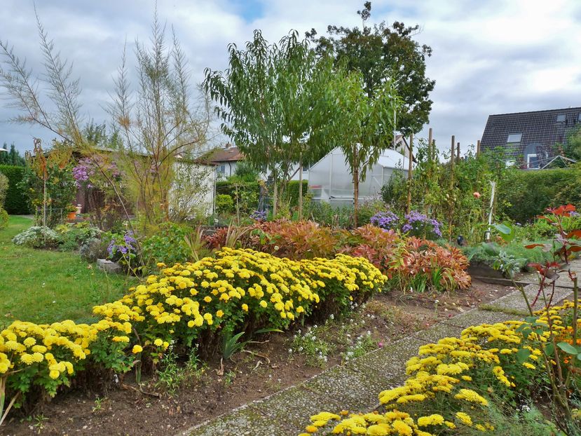 P2030366 - 2016 - 03 - Toamna