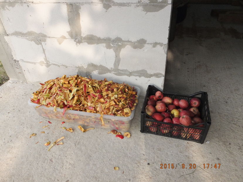 DSCF 2139; Joaca cu r%u0103z%u0103toarea.
