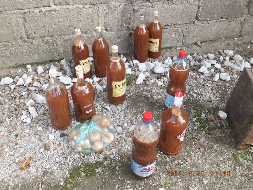 DSCF 2139; REzultatul 110% natural.
