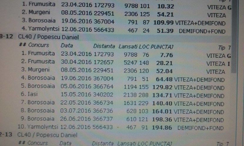 921728-2012 clasari 2016-as speed palmares 3 ani- - de vanzare 2017 vanduti