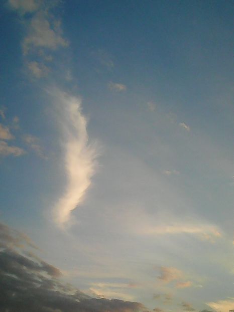 Photo3397 - Dansul norilor