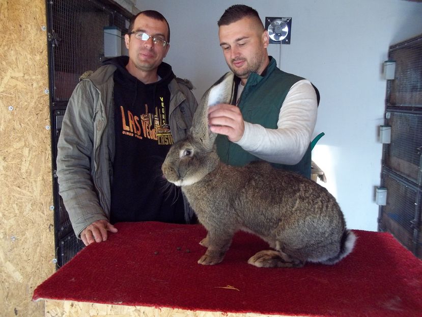 Boby Malita - In vizita la crescatori din Oradea