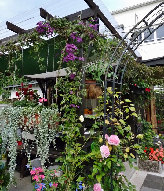 P1990661 - 2016 - 02 - Vara