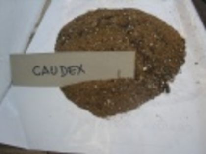 compost ptr caudex-8 lei L