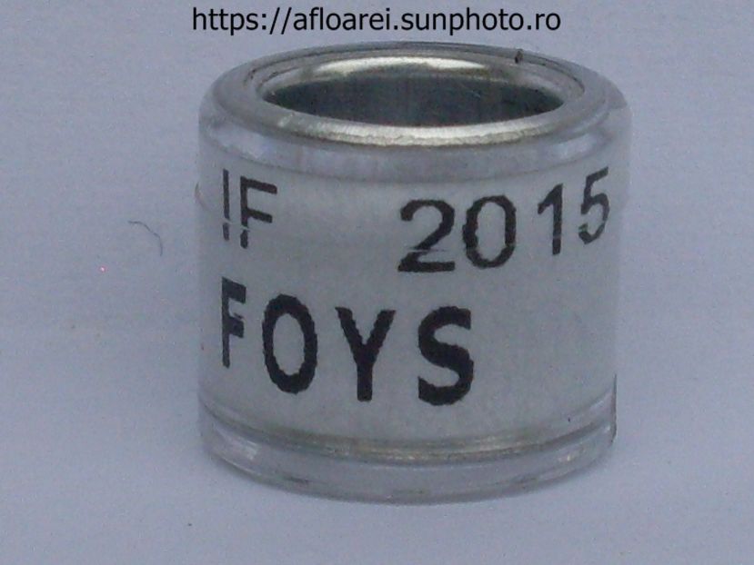 IF 2015 FOYS