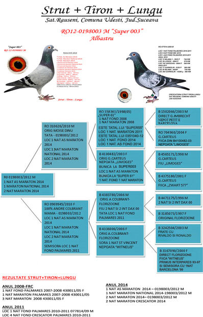 pedigree-super003 Camp.Nat.RO in 2014 la cat.AS MARATON si MARATON NATIONAL semifratele femelei - semisora cu Camp Nat maraton2014 F-1000022-08-Strut Ghe-Florizoone Linia 2 Internationa