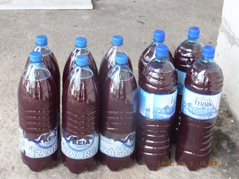 DSCF 5077 08-10-2016