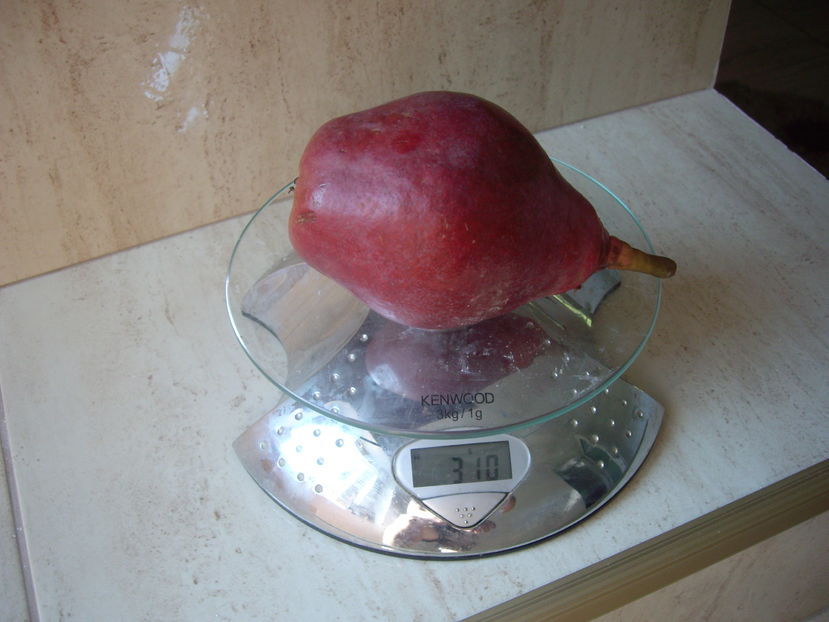 IMGP9971 - pomi fructiferi 2013- 2019