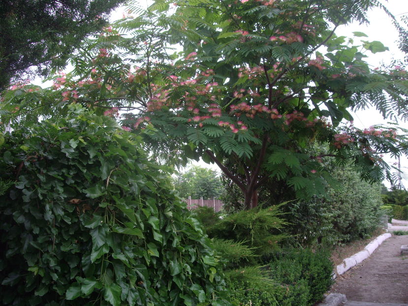 IMGP9879
