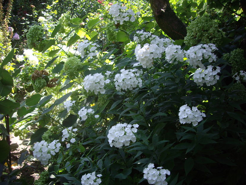 IMGP9893