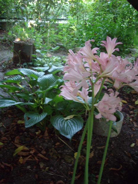 IMGP9943