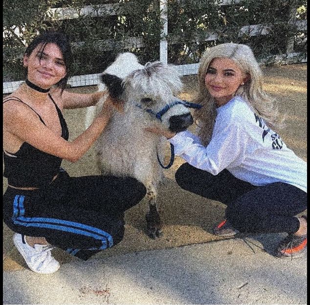 15.10 ·♡ ❝@kyliejenner: A chicken!!!!!❞