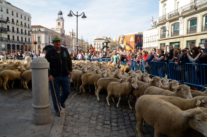 Oile trec prin oras-7vc