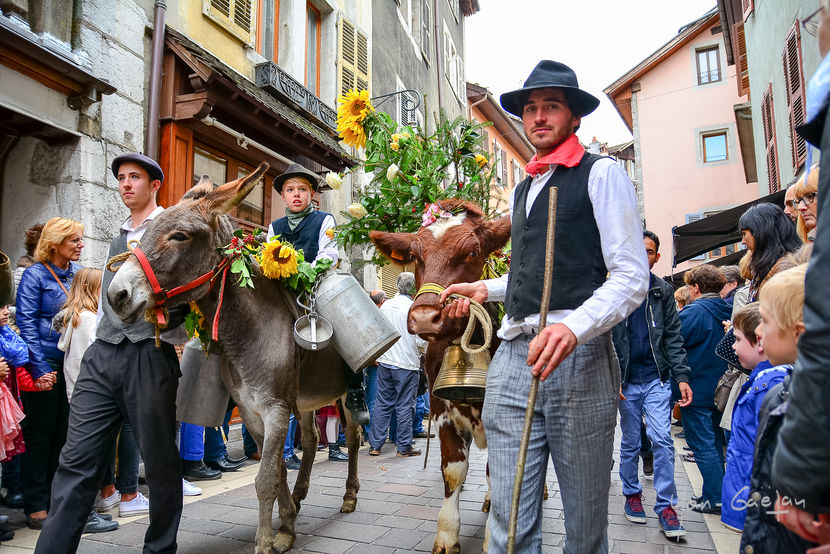 Vine si turma in spate-4