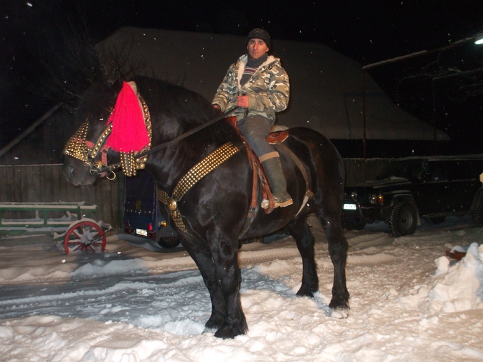 22 Dec.2009 004 - Horses story