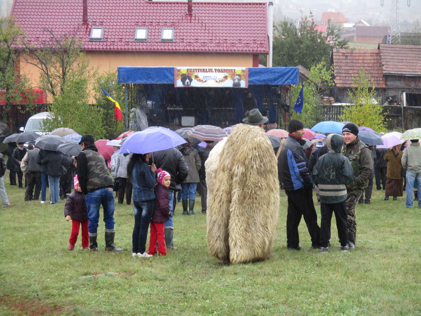 Festivalul toamnei-Sarmas
