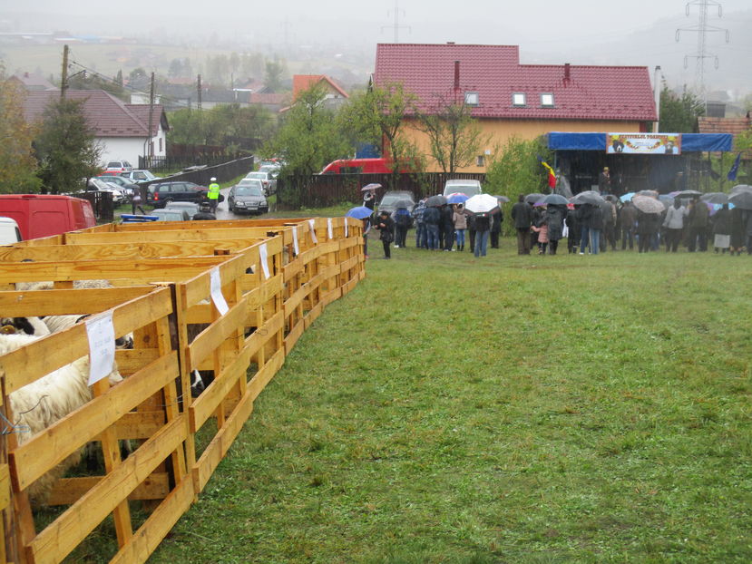 Turcanele si spectatorii