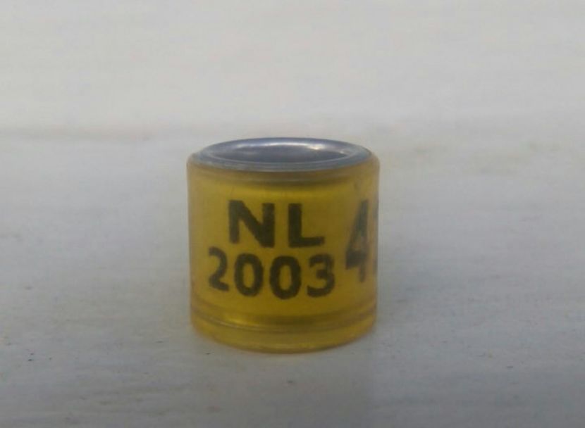 NL 2003 - C C OLANDA