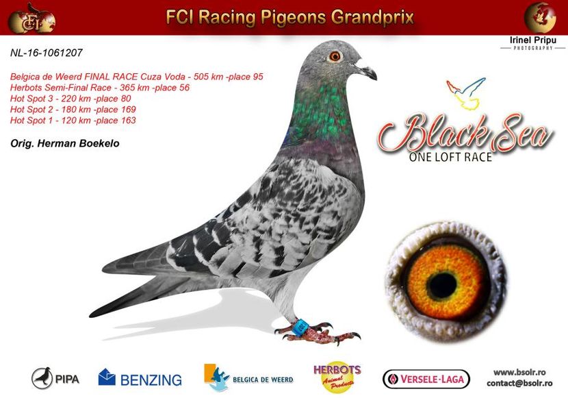 C__Data_Users_DefApps_AppData_INTERNETEXPLORER_Temp_Saved Images_NL-16-1061207x