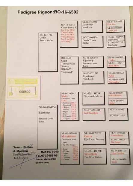 ro-16-6502-toncu-stefan-madalin-sosit-finala-6-semifinala-320km