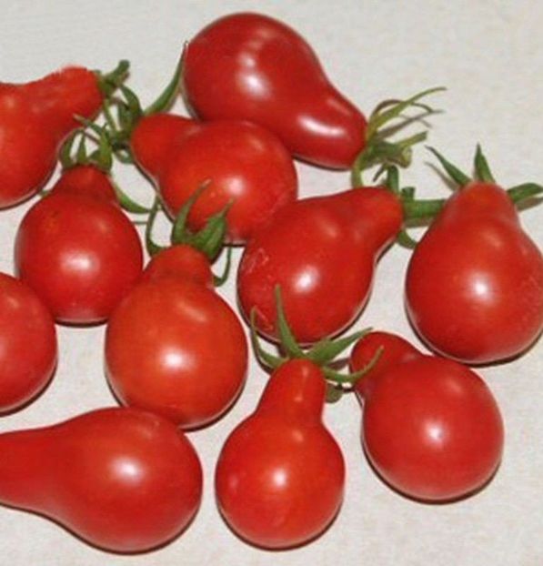 TOMATE CHERRY RED PEAR CHERRY