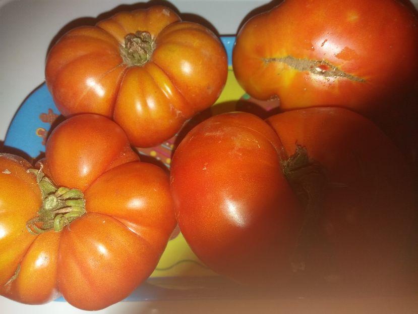 TOMATE ROMANESTI BISTRITA. - TOMATE ROMANESTI BISTRITA