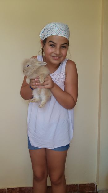  - 111111111 Iepuri din 2016