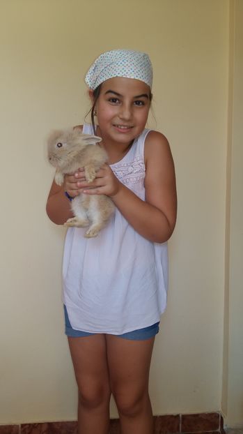  - 111111111 Iepuri din 2016