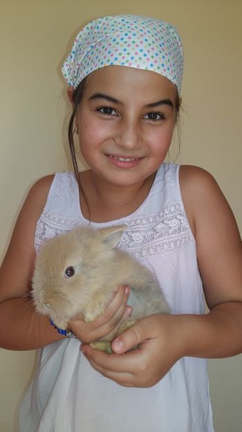  - 111111111 Iepuri din 2016