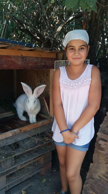  - 111111111 Iepuri din 2016