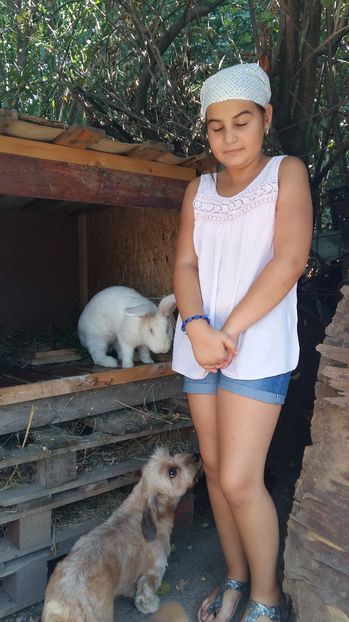  - 111111111 Iepuri din 2016