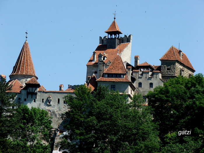 DSCF4388 - Castelul Bran